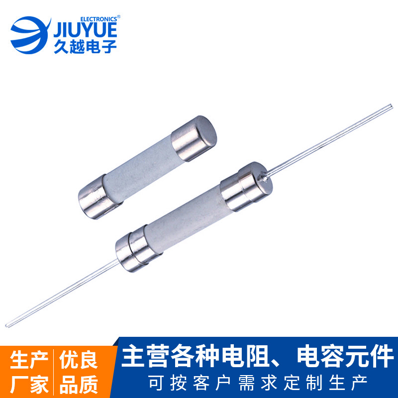 批發(fā)保險絲管 智能儀表電子玩具小家電適用過流保護(hù)陶瓷保險絲管